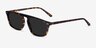 Hernando Tortoise AcetateSunglass Frames from EyeBuyDirect, Angle View
