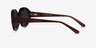 Swan Clear Brown AcetateSunglass Frames from EyeBuyDirect, Side View