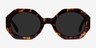 Vitamin Tortoise AcetateSunglass Frames from EyeBuyDirect, Front View