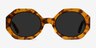 Vitamin Warm Tortoise AcetateSunglass Frames from EyeBuyDirect, Front View