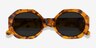 Vitamin Warm Tortoise AcetateSunglass Frames from EyeBuyDirect, Closed View