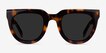 Dali Tortoise AcetateSunglass Frames from EyeBuyDirect, Front View