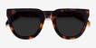 Dali Tortoise AcetateSunglass Frames from EyeBuyDirect, Closed View