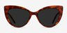 Holiday Brown Tortoise AcetateSunglass Frames from EyeBuyDirect, Front View