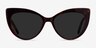 Holiday Tortoise AcetateSunglass Frames from EyeBuyDirect, Front View