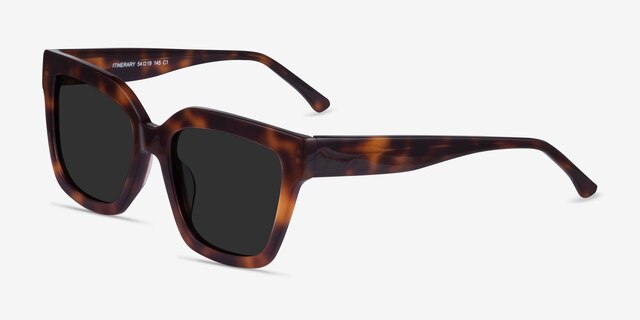 Itinerary Tortoise AcetateSunglass Frames from EyeBuyDirect, Angle View