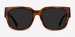 Selene Brown Tortoise AcetateSunglass Frames from EyeBuyDirect, Front View