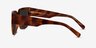 Selene Brown Tortoise AcetateSunglass Frames from EyeBuyDirect, Side View