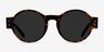 Chantal Brown Tortoise AcetateSunglass Frames from EyeBuyDirect, Front View