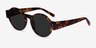 Chantal Brown Tortoise AcetateSunglass Frames from EyeBuyDirect, Angle View