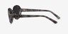 Pedra Gray Floral AcetateSunglass Frames from EyeBuyDirect, Side View