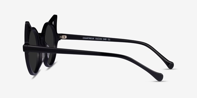 Chartreux Black AcetateSunglass Frames from EyeBuyDirect, Side View