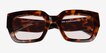 Plumarius Tortoise Alternative MaterialsSunglass Frames from EyeBuyDirect, Closed View