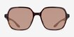 Fierce Tortoise PlasticSunglass Frames from EyeBuyDirect, Front View