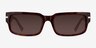 Croquet Shiny Tortoise AcetateSunglass Frames from EyeBuyDirect, Front View