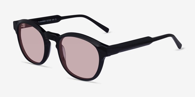 Flamingo Black AcetateSunglass Frames from EyeBuyDirect, Angle View