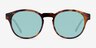 Flamingo Tortoise AcetateSunglass Frames from EyeBuyDirect, Front View