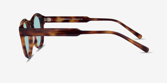 Flamingo Tortoise AcetateSunglass Frames from EyeBuyDirect, Side View