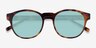Flamingo Tortoise AcetateSunglass Frames from EyeBuyDirect, Closed View