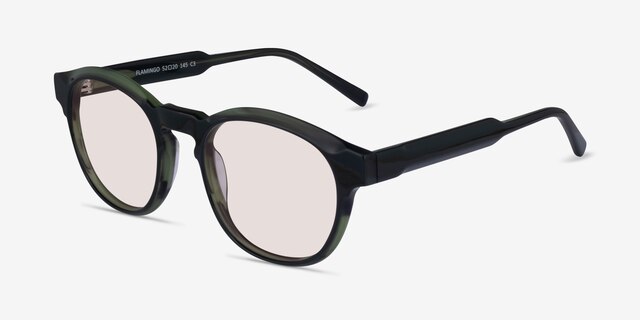Flamingo Green AcetateSunglass Frames from EyeBuyDirect, Angle View