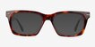 Halverson Tortoise AcetateSunglass Frames from EyeBuyDirect, Front View