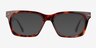 Halverson Tortoise AcetateSunglass Frames from EyeBuyDirect, Front View