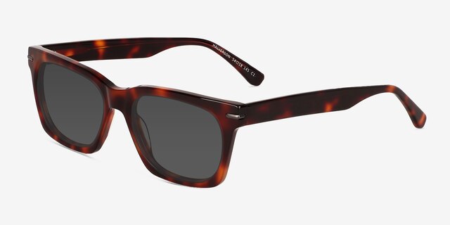 Halverson Tortoise AcetateSunglass Frames from EyeBuyDirect, Angle View