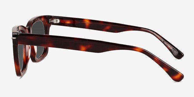 Halverson Tortoise AcetateSunglass Frames from EyeBuyDirect, Side View