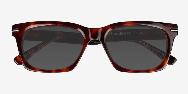 Halverson Tortoise AcetateSunglass Frames from EyeBuyDirect, Closed View