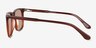 Clifton Dark Brown AcetateSunglass Frames from EyeBuyDirect, Side View