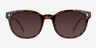 Seabright Tortoise PlasticSunglass Frames from EyeBuyDirect, Front View