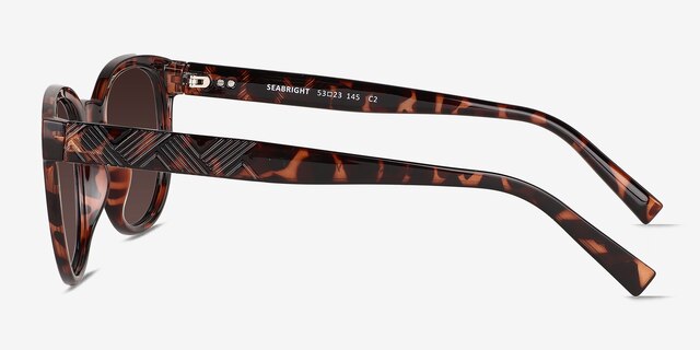 Seabright Tortoise PlasticSunglass Frames from EyeBuyDirect, Side View