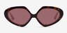 Glitz Tortoise AcetateSunglass Frames from EyeBuyDirect, Front View