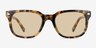 Rugby Spotty Tortoise AcetateSunglass Frames from EyeBuyDirect, Front View