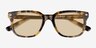 Rugby Spotty Tortoise AcetateSunglass Frames from EyeBuyDirect, Closed View