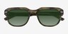 Arrow Khaki AcetateSunglass Frames from EyeBuyDirect, Closed View