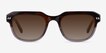 Arrow Tortoise Crystal Gray AcetateSunglass Frames from EyeBuyDirect, Front View