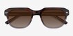 Arrow Tortoise Crystal Gray AcetateSunglass Frames from EyeBuyDirect, Closed View
