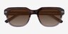 Arrow Tortoise Crystal Gray AcetateSunglass Frames from EyeBuyDirect, Closed View