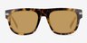 Books Spotty Tortoise AcetateSunglass Frames from EyeBuyDirect, Front View