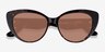 Gallery Tortoise AcetateSunglass Frames from EyeBuyDirect, Closed View