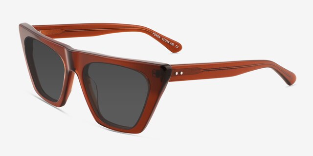 Ponga Translucent Dark Brown AcetateSunglass Frames from EyeBuyDirect, Angle View
