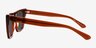 Ponga Translucent Dark Brown AcetateSunglass Frames from EyeBuyDirect, Side View