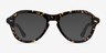Moss Spotty Tortoise AcetateSunglass Frames from EyeBuyDirect, Front View