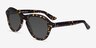 Moss Spotty Tortoise AcetateSunglass Frames from EyeBuyDirect, Angle View