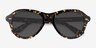 Moss Spotty Tortoise AcetateSunglass Frames from EyeBuyDirect, Closed View