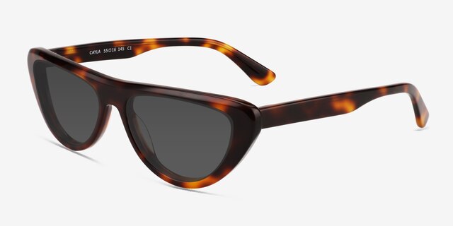 Cayla Tortoise AcetateSunglass Frames from EyeBuyDirect, Angle View
