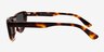 Cayla Tortoise AcetateSunglass Frames from EyeBuyDirect, Side View