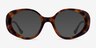 Intuition Tortoise AcetateSunglass Frames from EyeBuyDirect, Front View