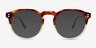 Begin Gradient Tortoise AcetateSunglass Frames from EyeBuyDirect, Front View